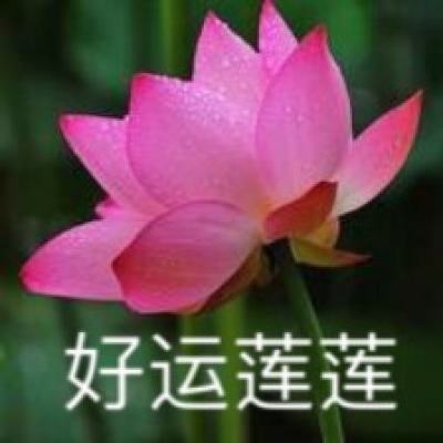 无尽银河私服下载