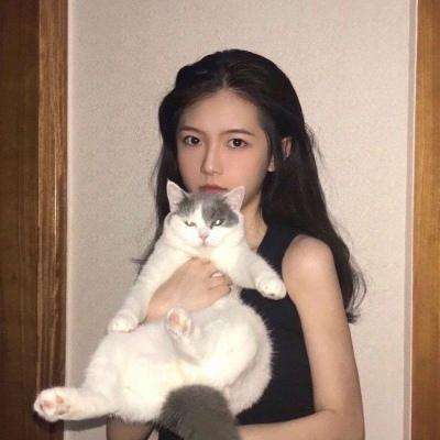 七雄争霸手游gm版下载